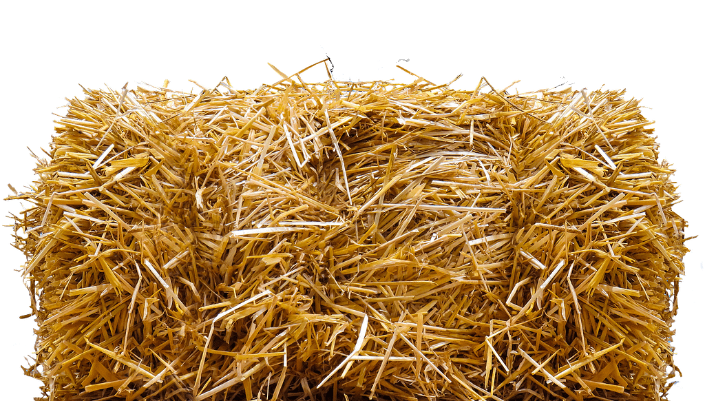 Straw